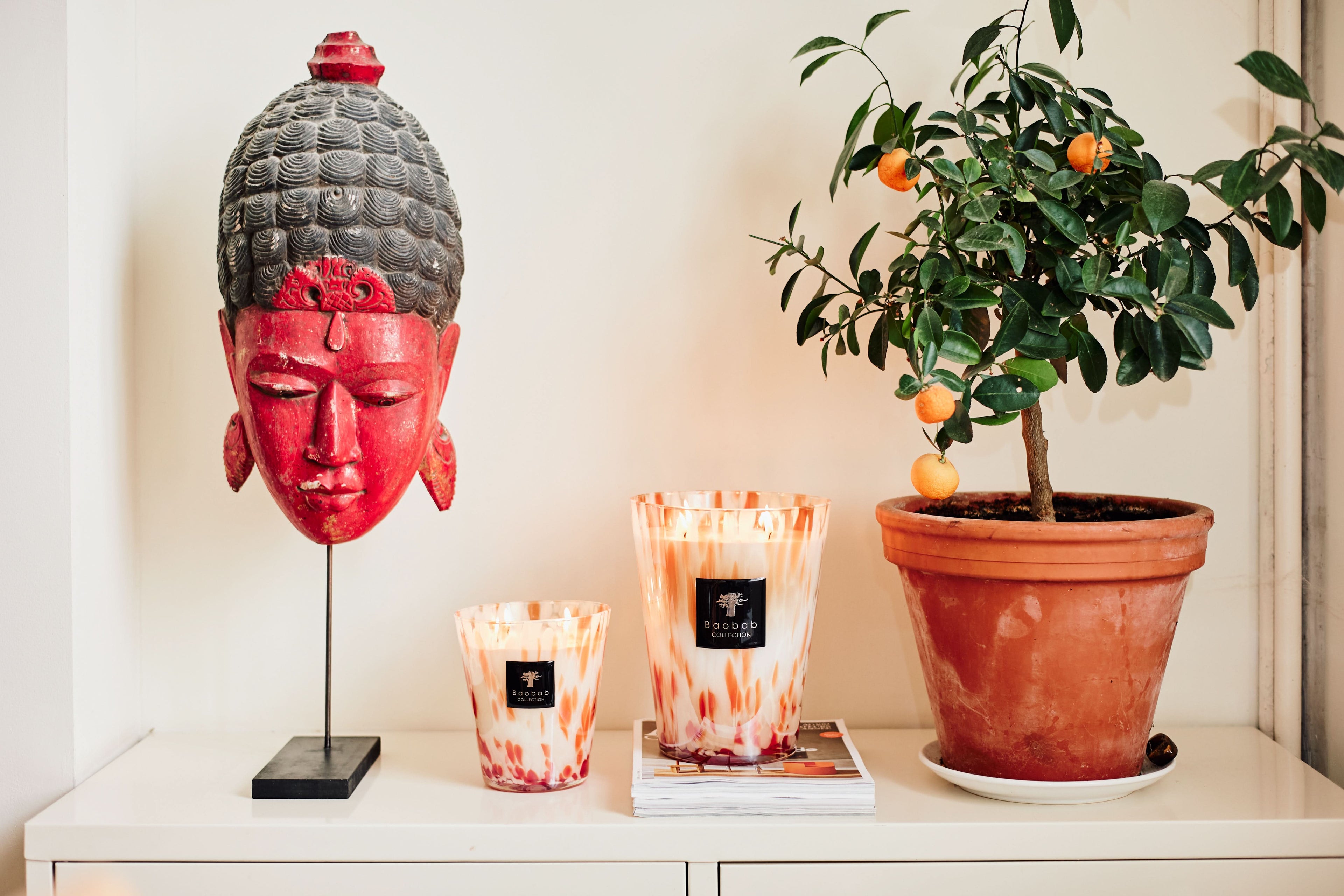 Baobab Collection Coral Pearls Max 10 Candle