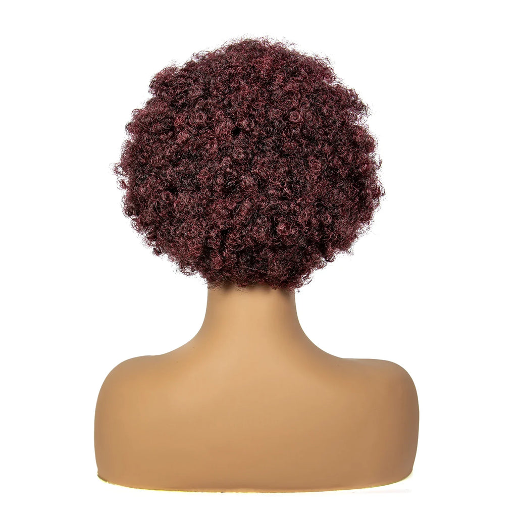 Perruque bob tressée afro bouclée bordeaux | Dentelle 13x6 | Cheveux de bébé | Boucles rebondissantes
