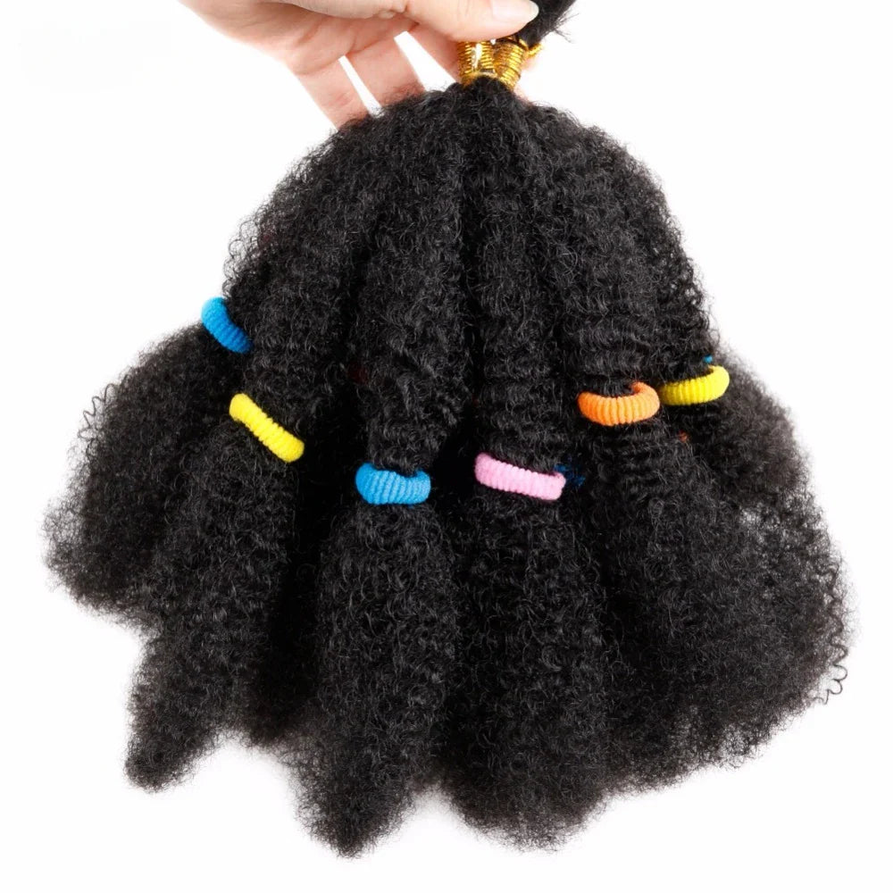 Cheveux synthétiques crépus givrés de 12 pouces pour tresses au crochet | Extensions de cheveux courts et bouclés
