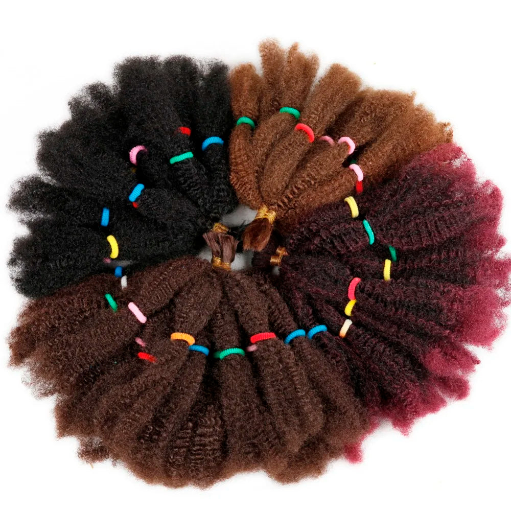 Cheveux synthétiques crépus givrés de 12 pouces pour tresses au crochet | Extensions de cheveux courts et bouclés