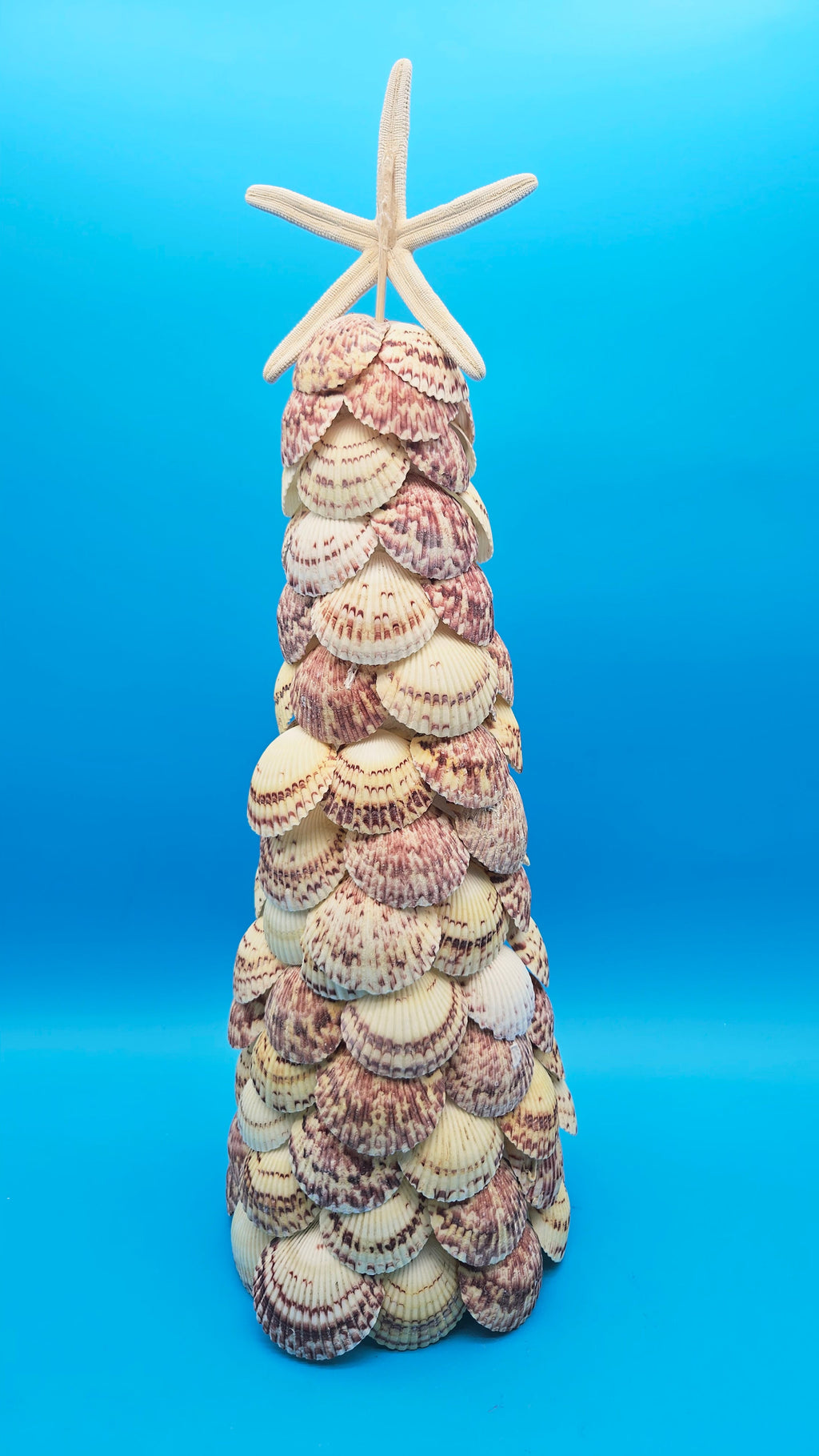 18.75" Scallop Shell Christmas Tree with Starfish Topper
