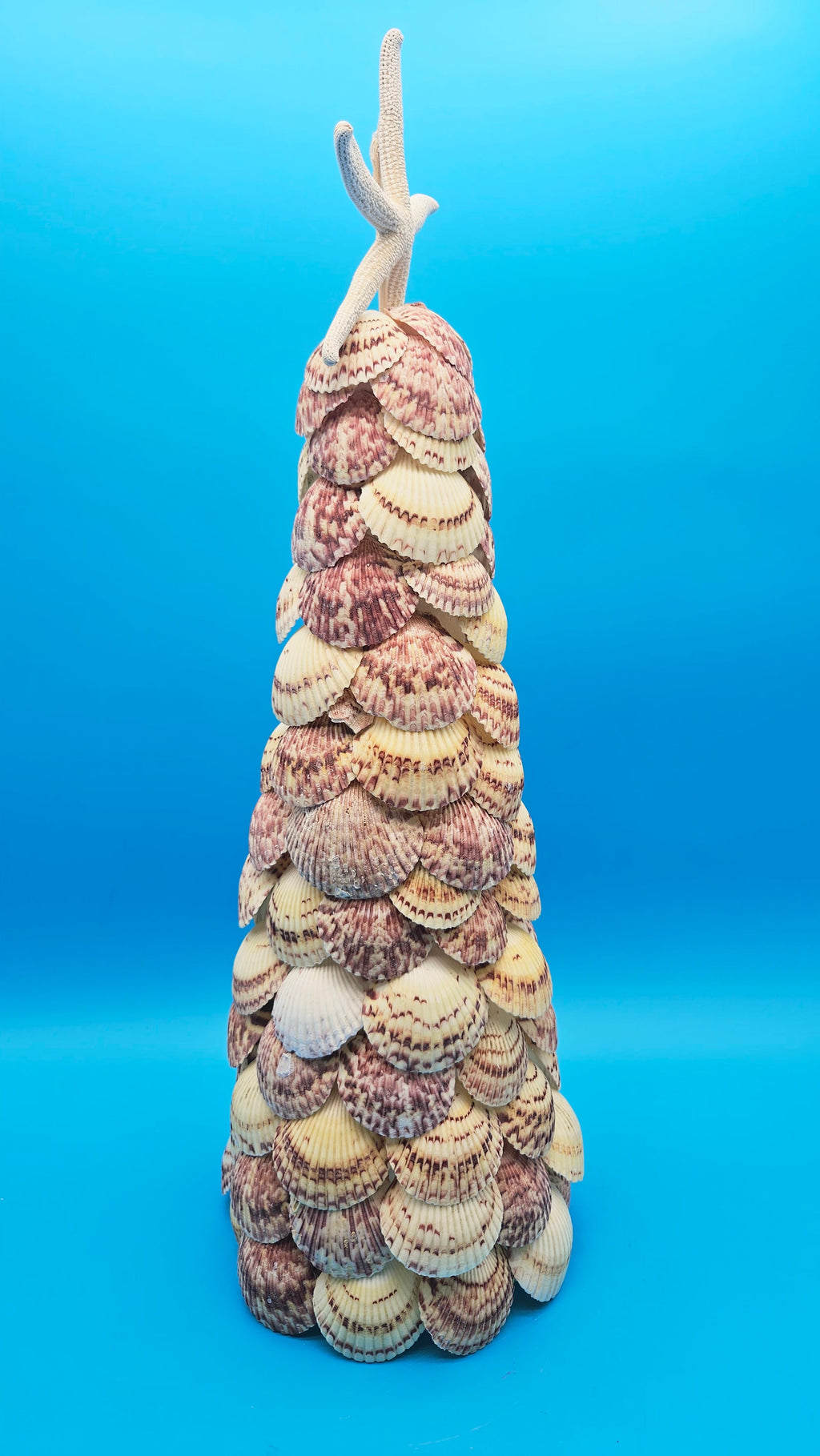 18.75" Scallop Shell Christmas Tree with Starfish Topper