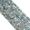 High Quality Natural Abalone Oval Shell beads, Wholesale Gemstone Beads, Oval Abalone Beads, 16inch strand, U2408c