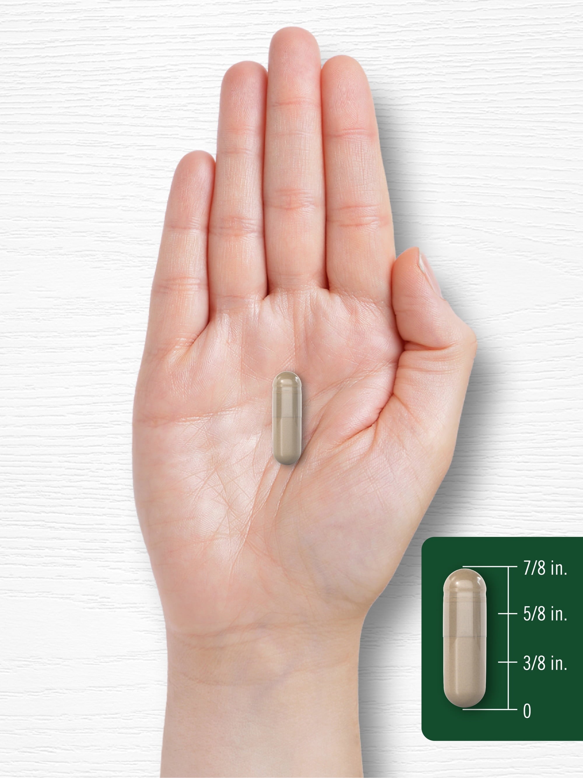 Lions Mane Supplement Capsules | 4200Mg | 60 Count | Vegetarian, Non-Gmo & Gluten Free | by Carlyle