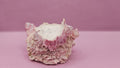 Barnacle with Yellow Jewel Box Shell – Gulf of Mexico (3.5"x3")