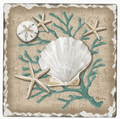 Beach Vibes Assorted Single Coasters
