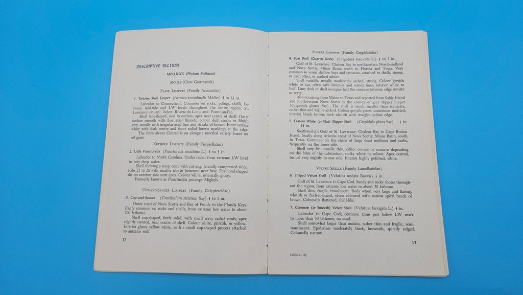 Canadian Atlantic Sea Shells – E.L. Bousfield (1960, Softcover)