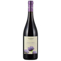 Cantina Horus - 'Sole E Terra' Frappato (750ML)