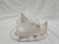 Cassis Cornuta Yellow Helmet Shell – Large Coastal Display Piece (9")