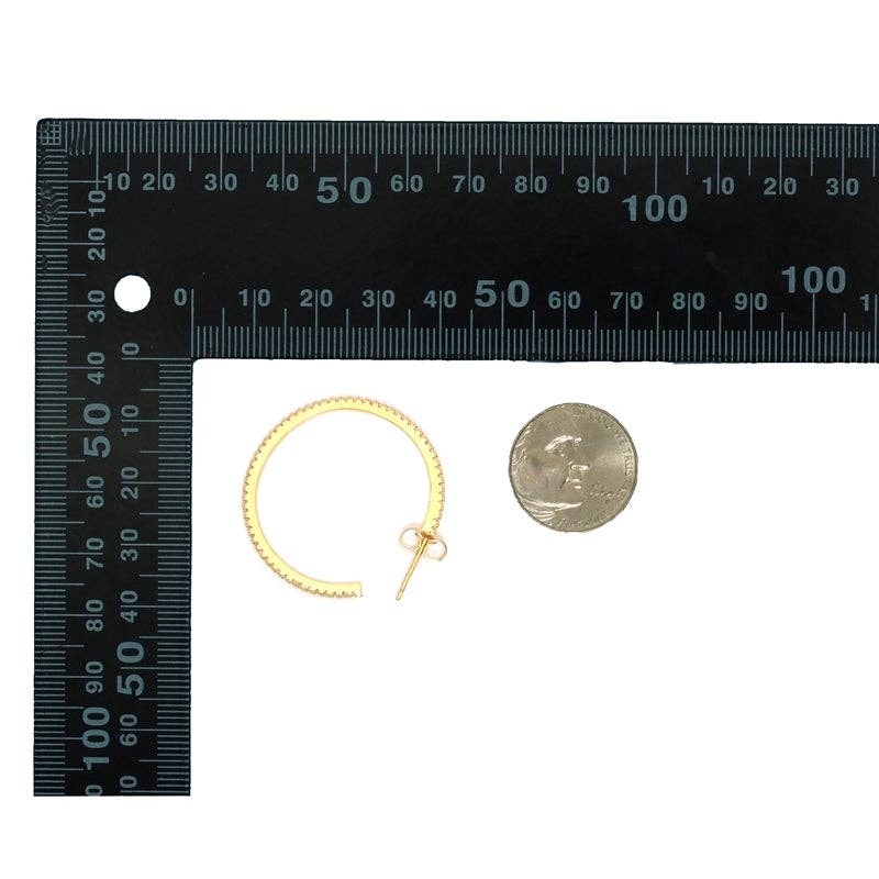 Gold Silver Clear CZ Round Hoop Earring, Sku#LX205