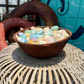 Polished Colored Rainbow Pastel Clam Shell Pairs