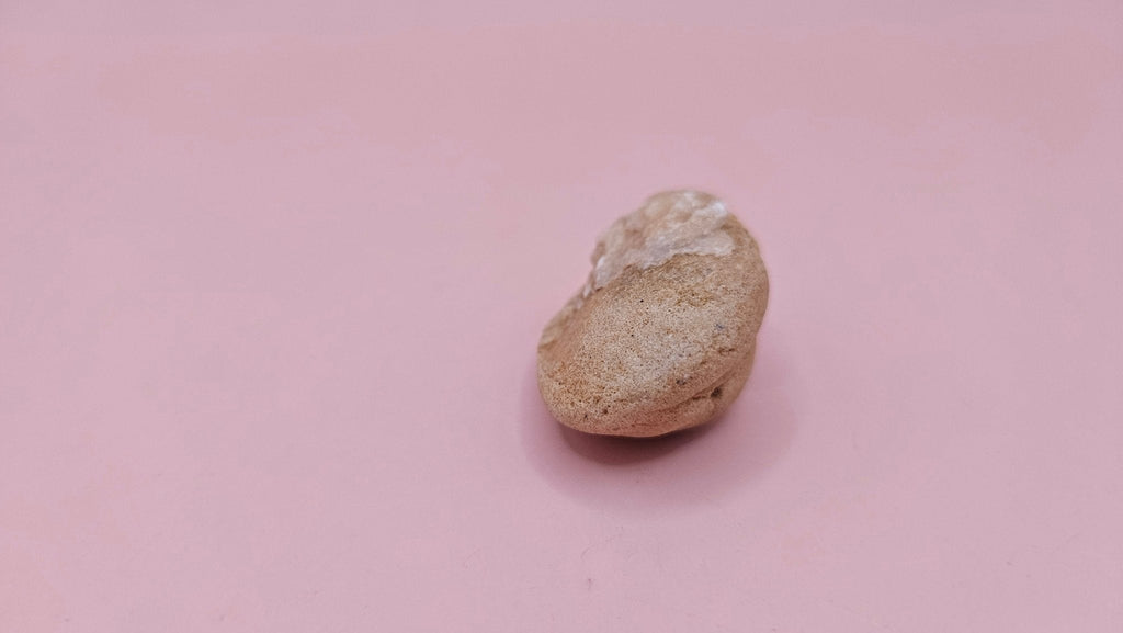 Cretaceous Fossil Clam with Quartz Crystal | Ancient Marine Shell Displa