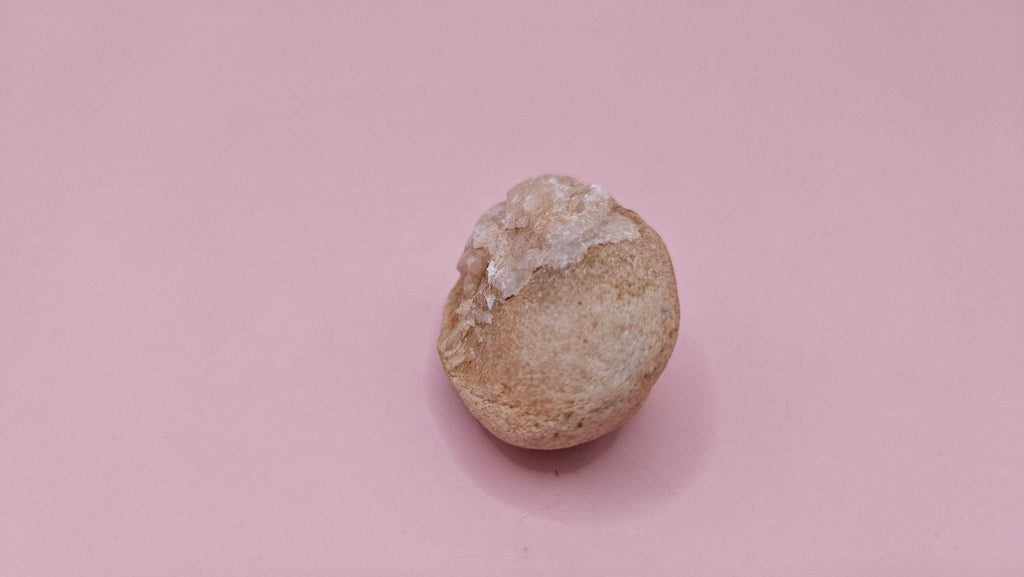 Cretaceous Fossil Clam with Quartz Crystal | Ancient Marine Shell Displa