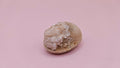 Cretaceous Fossil Clam with Quartz Crystal | Ancient Marine Shell Displa