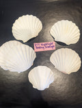 DIY Baking Scallops for Night Lights