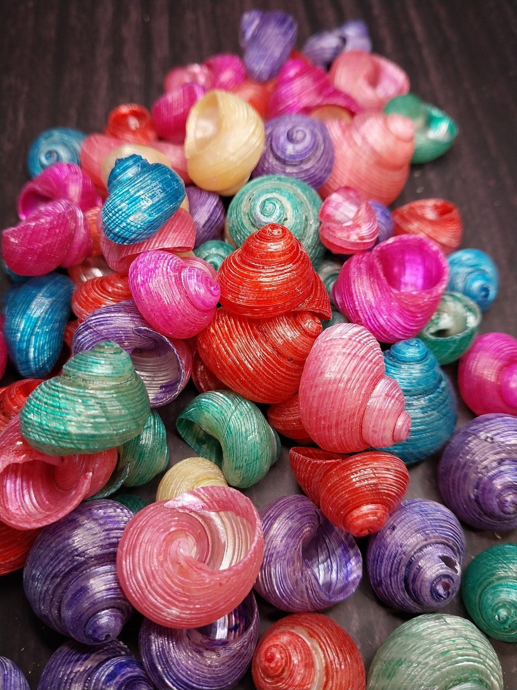 Bulk Dyed Turbo Shells – Vibrant Spiral Craft Shells for DIY & Coastal Decor