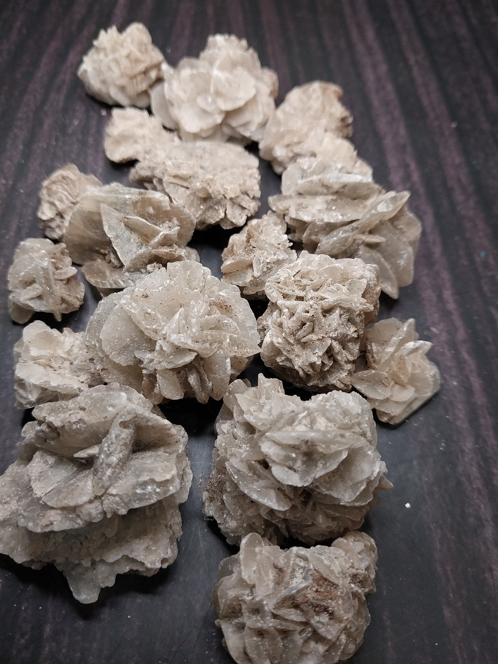 Elephant Ear Crystalized Selenite Mineral