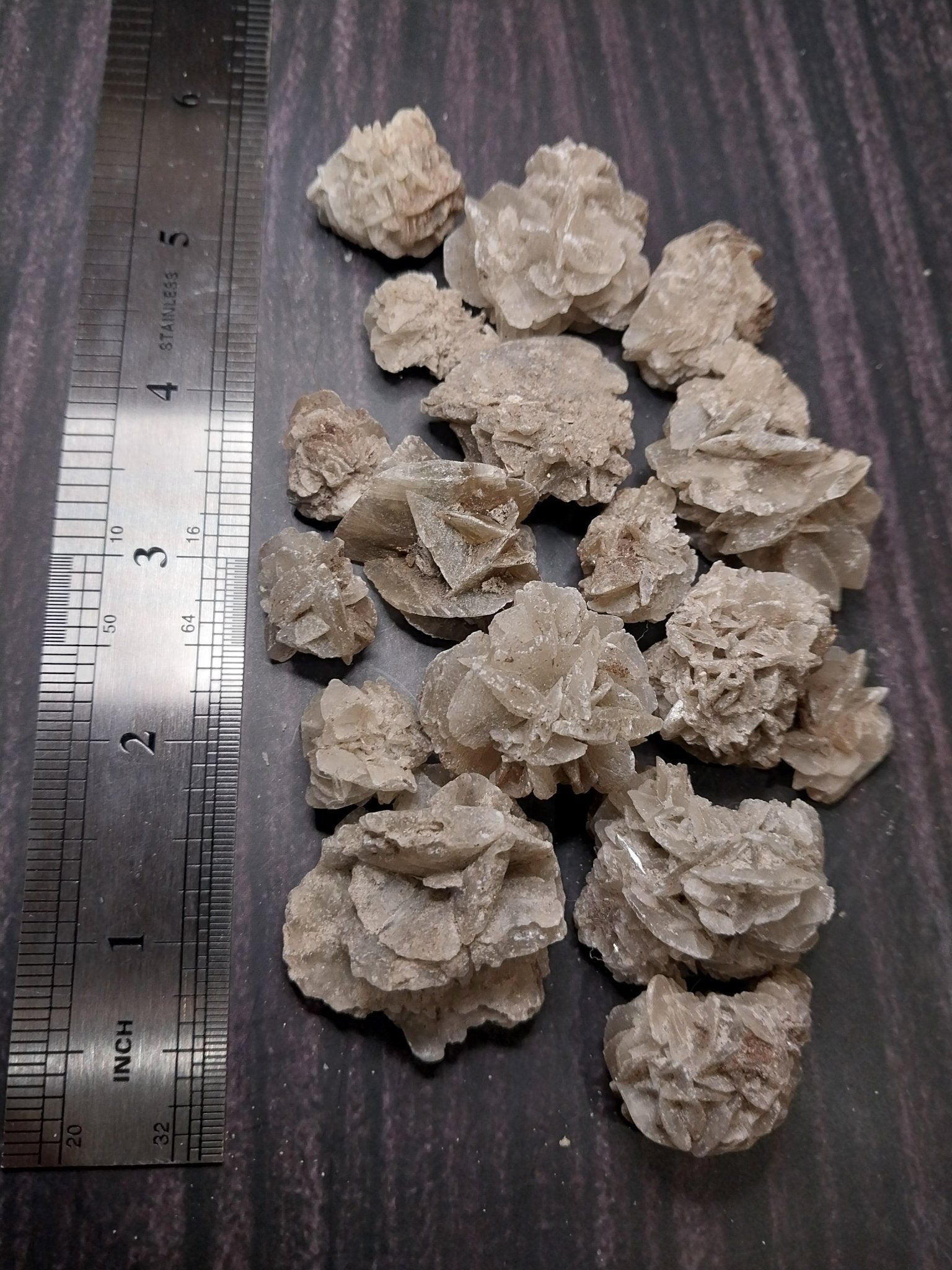 Elephant Ear Crystalized Selenite Mineral