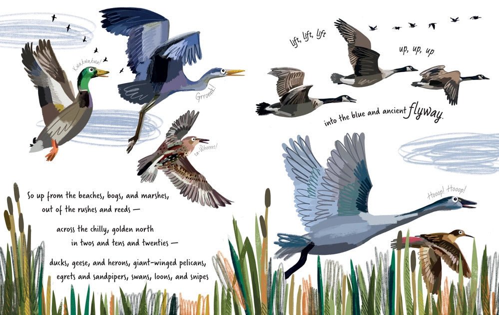 Follow the Flyway