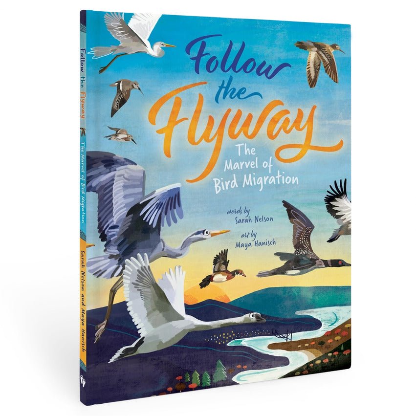 Follow the Flyway