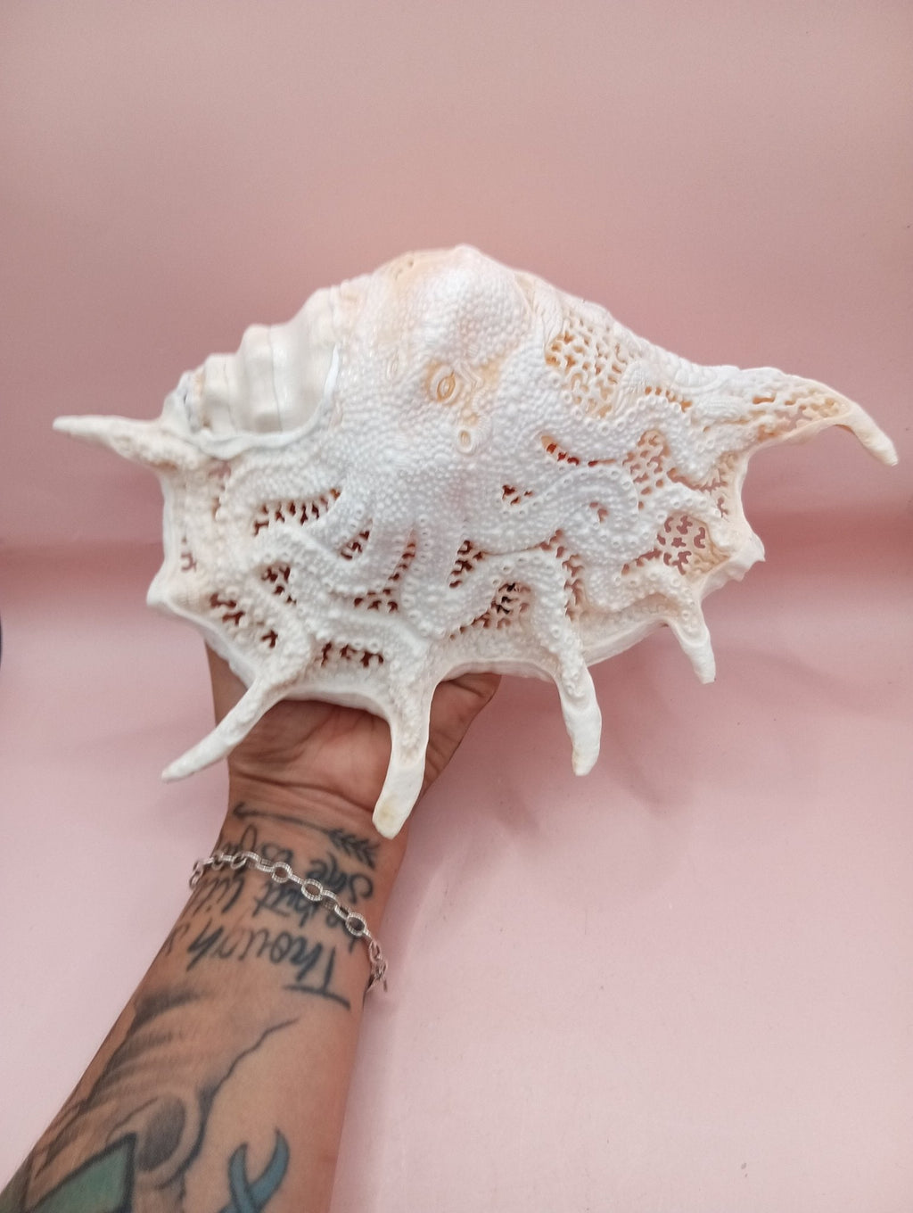 Hand-Carved Lambis Truncata Shell – Octopus Design – 9.5" Coastal Art Decor