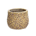 Pot de chrysanthème - 12,7 cm