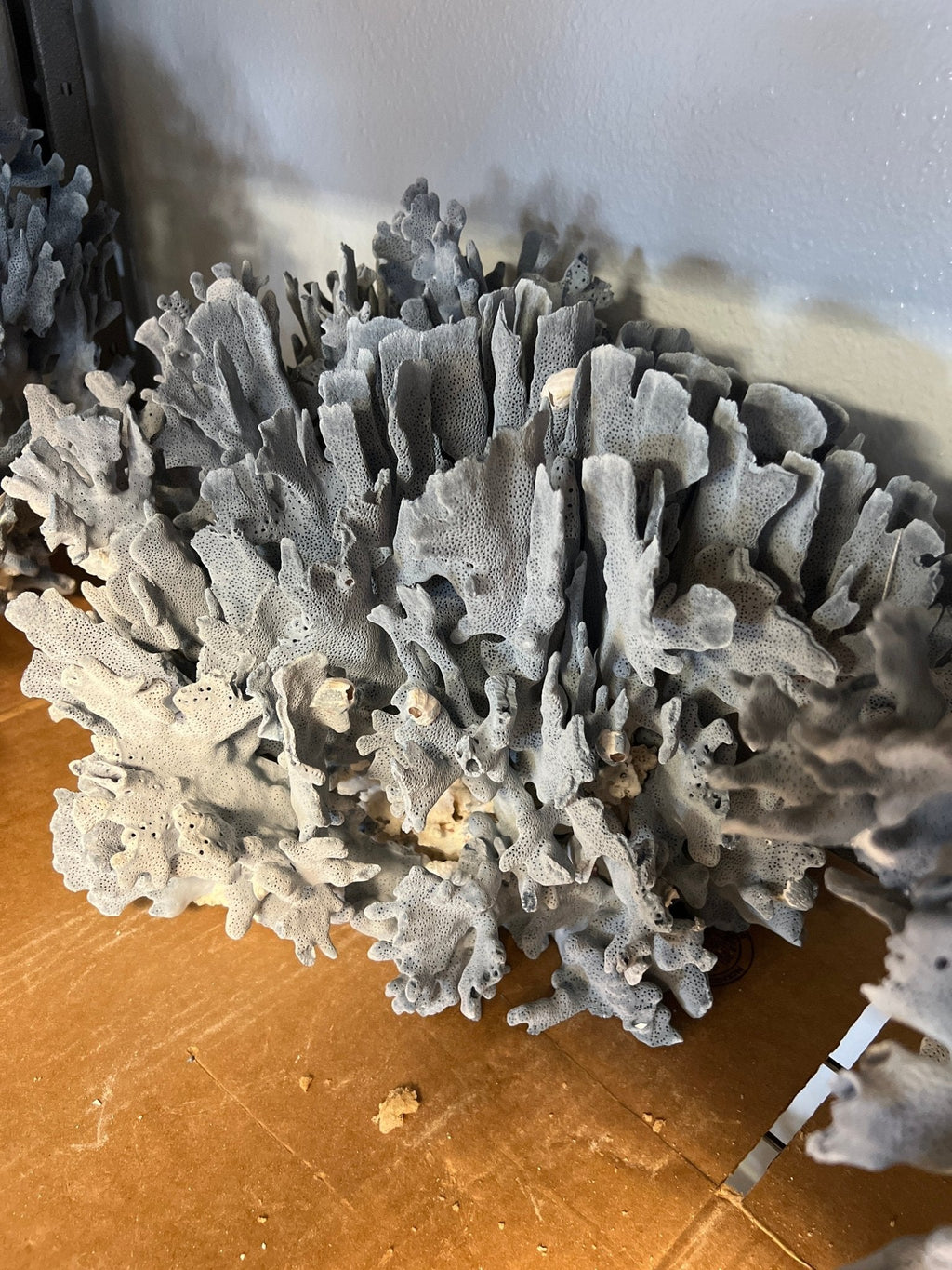 Light Blue Ridge Coral Sculpture- 20"