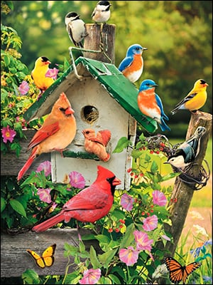 Blank Card - Bird On The Fence