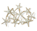 Metal Starfish Wall Decor