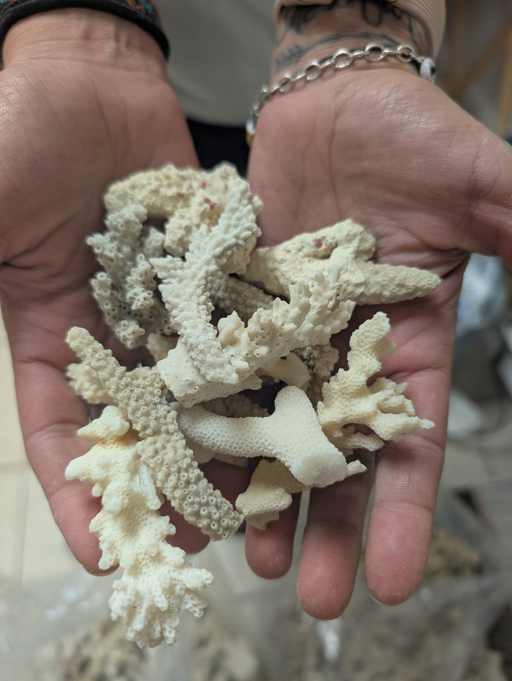 Mixed White Coral Pieces Crafting Assortment- Broken Scrap Lot