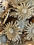 Natural Sunflower Starfish