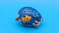 Painted Cowrie Shell Magnets – Coastal Decor Sea Turtle, Dolphin, or Sand Scene 2.5–3"