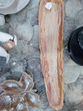 Petrified Wood Slice Charcuterie Cheese Board