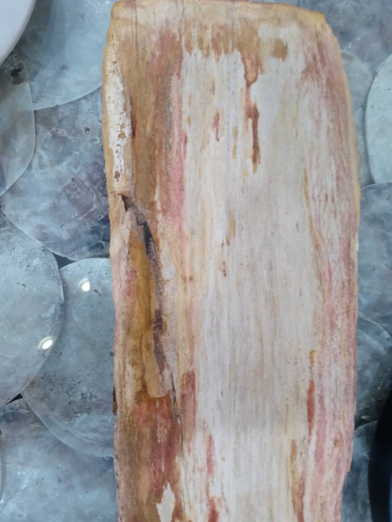 Petrified Wood Slice Charcuterie Cheese Board