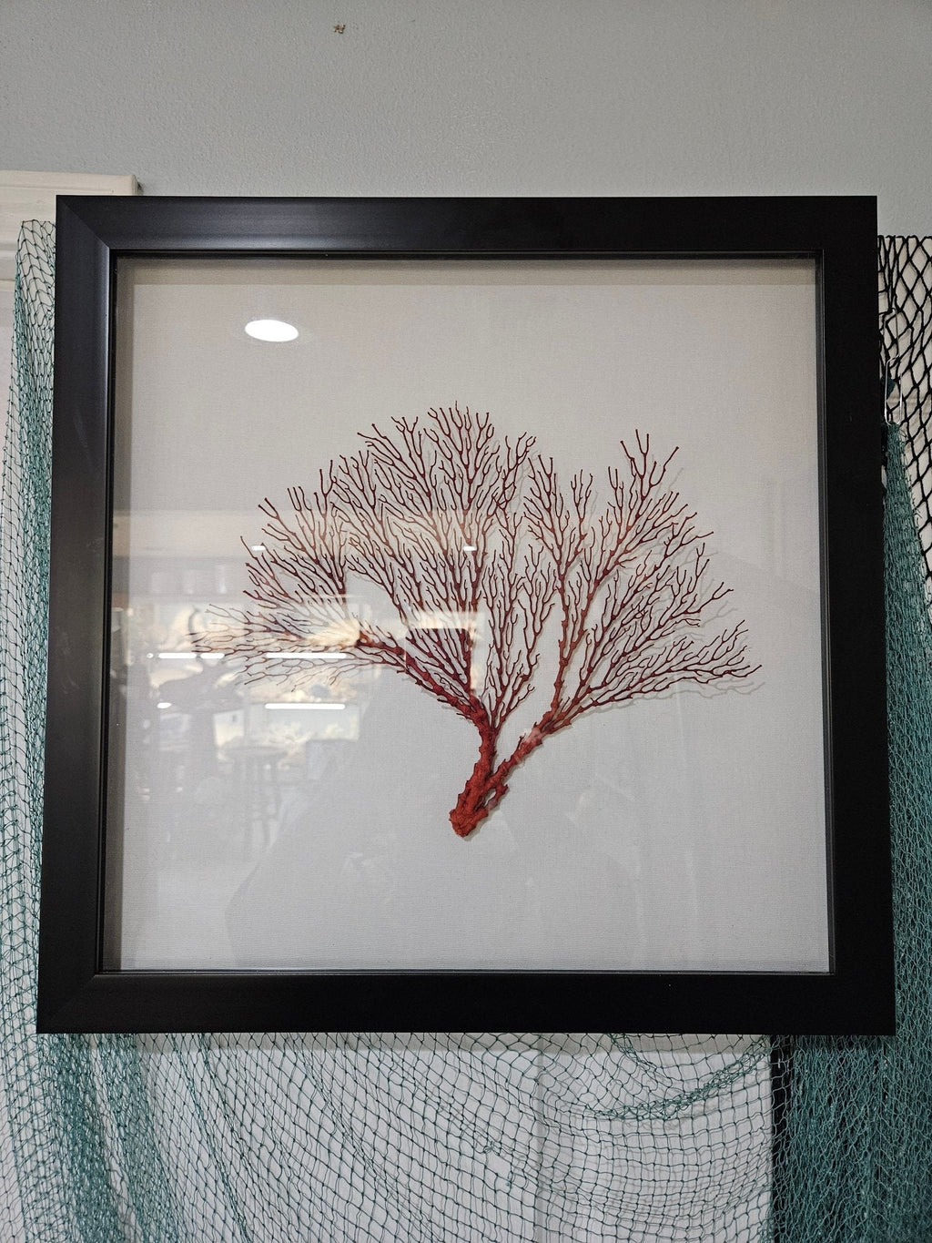 Pink Sea Fan Shadow Box - 20"x20" Coastal Wall Art
