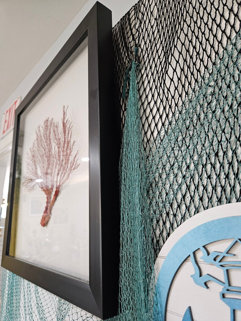 Pink Sea Fan Shadow Box - 20"x20" Coastal Wall Art