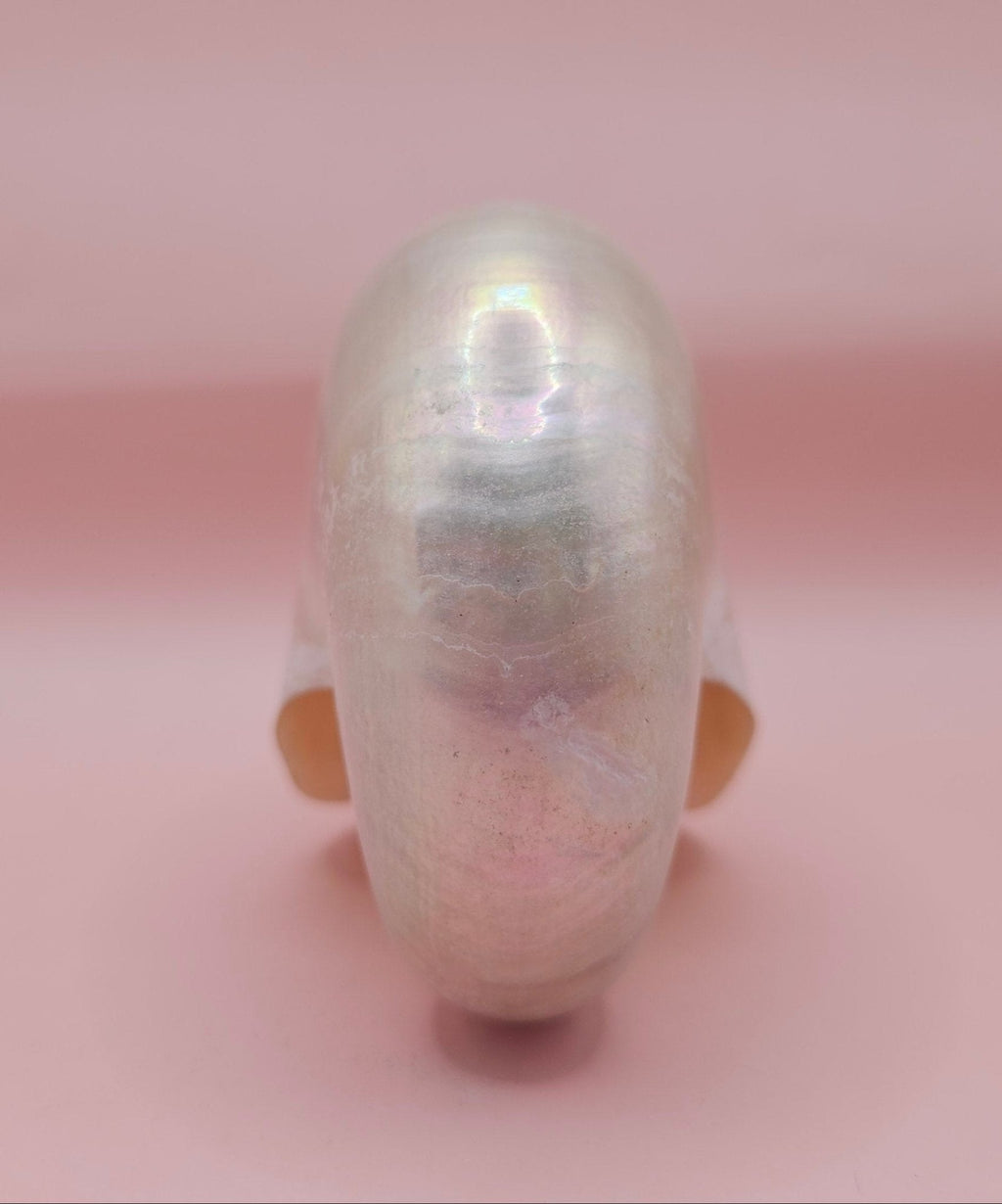Polished Pearl Nautilus Shell – Elegant Ocean Décor (3.75")