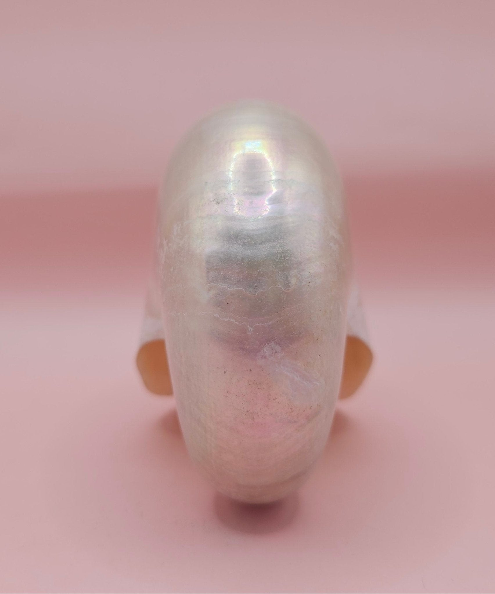 Polished Pearl Nautilus Shell – Elegant Ocean Décor (3.75")