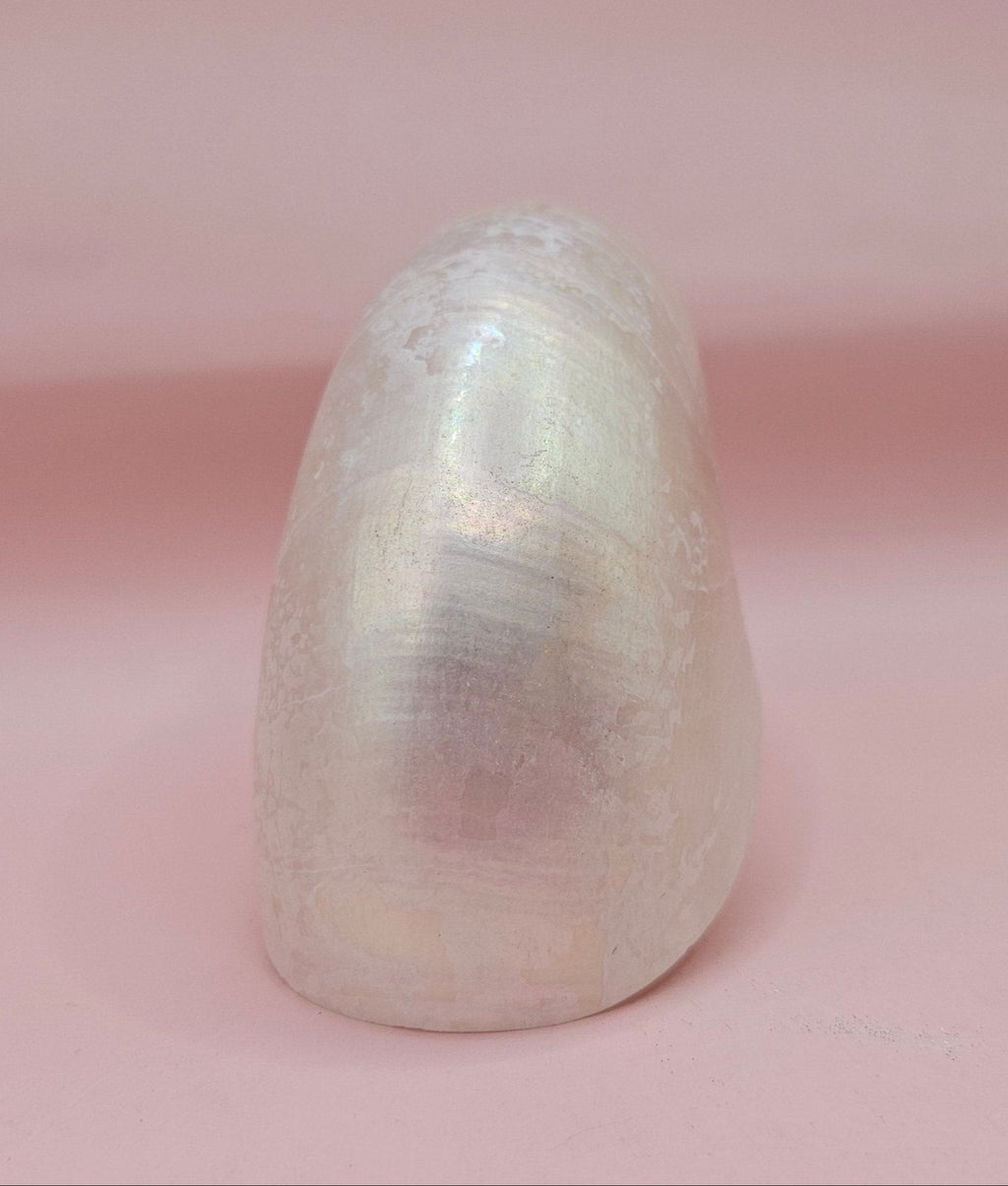 Polished Pearl Nautilus Shell – Elegant Ocean Décor (3.75")