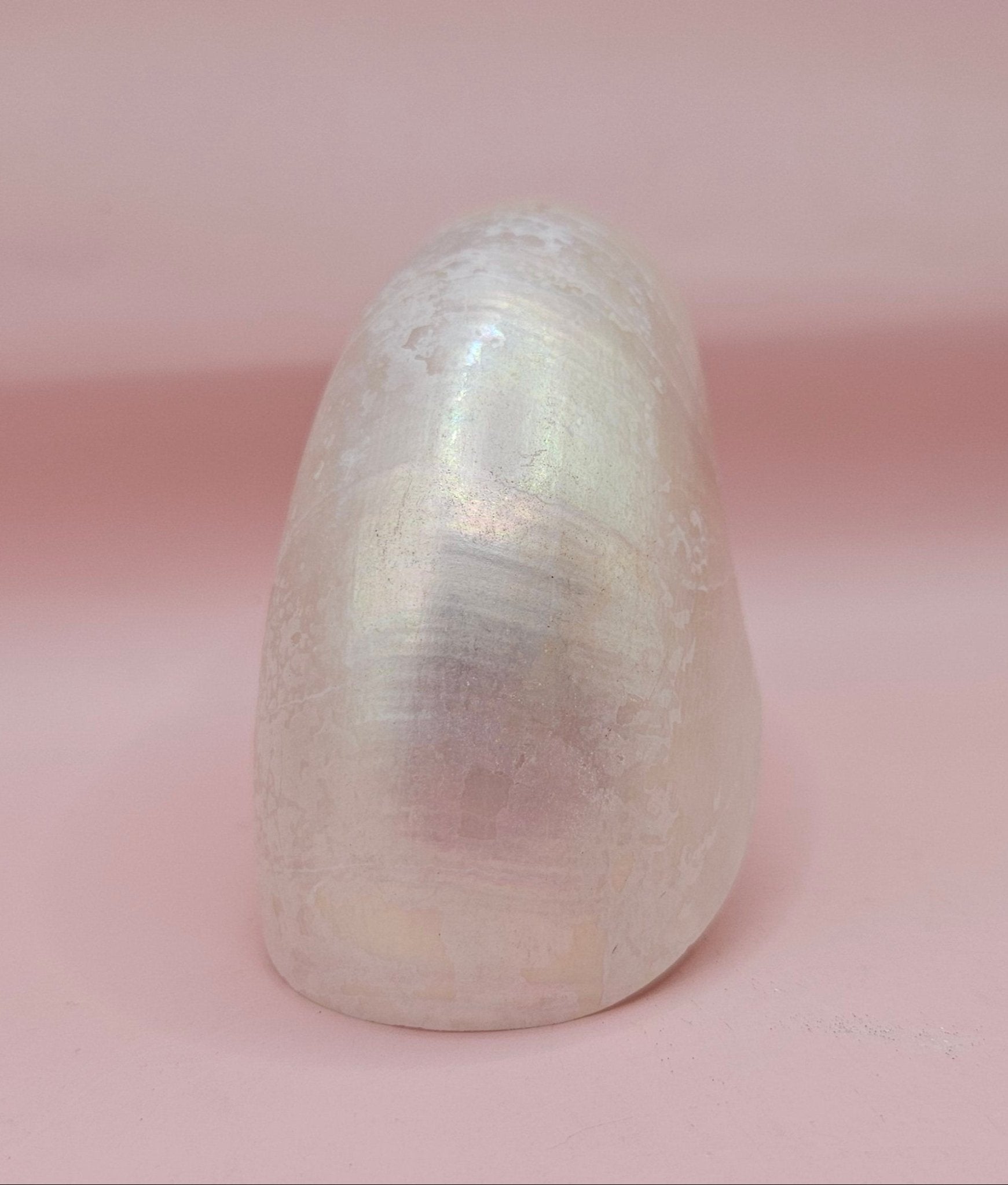 Polished Pearl Nautilus Shell – Elegant Ocean Décor (3.75")