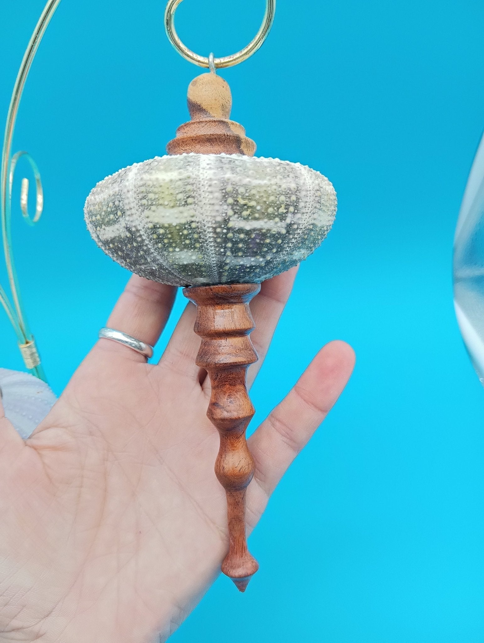 Real Sea Urchin Ornament with Hand-Turned Wood Finial – 3 Variants