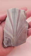 Rhyolite Slab –73 grams- Natural Beauty from Hatch, New Mexico