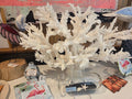 Large Branch Coral Creation- 26"x18"x7"
