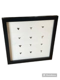 Shark teeth shadow box- Made to order
