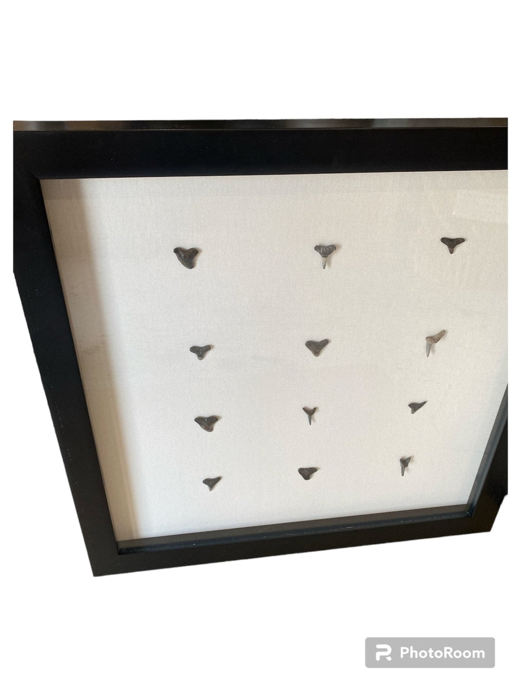 Shark teeth shadow box- Made to order