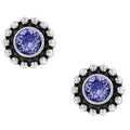 Purple Tanzanite Twinkle Mini Post Earrings