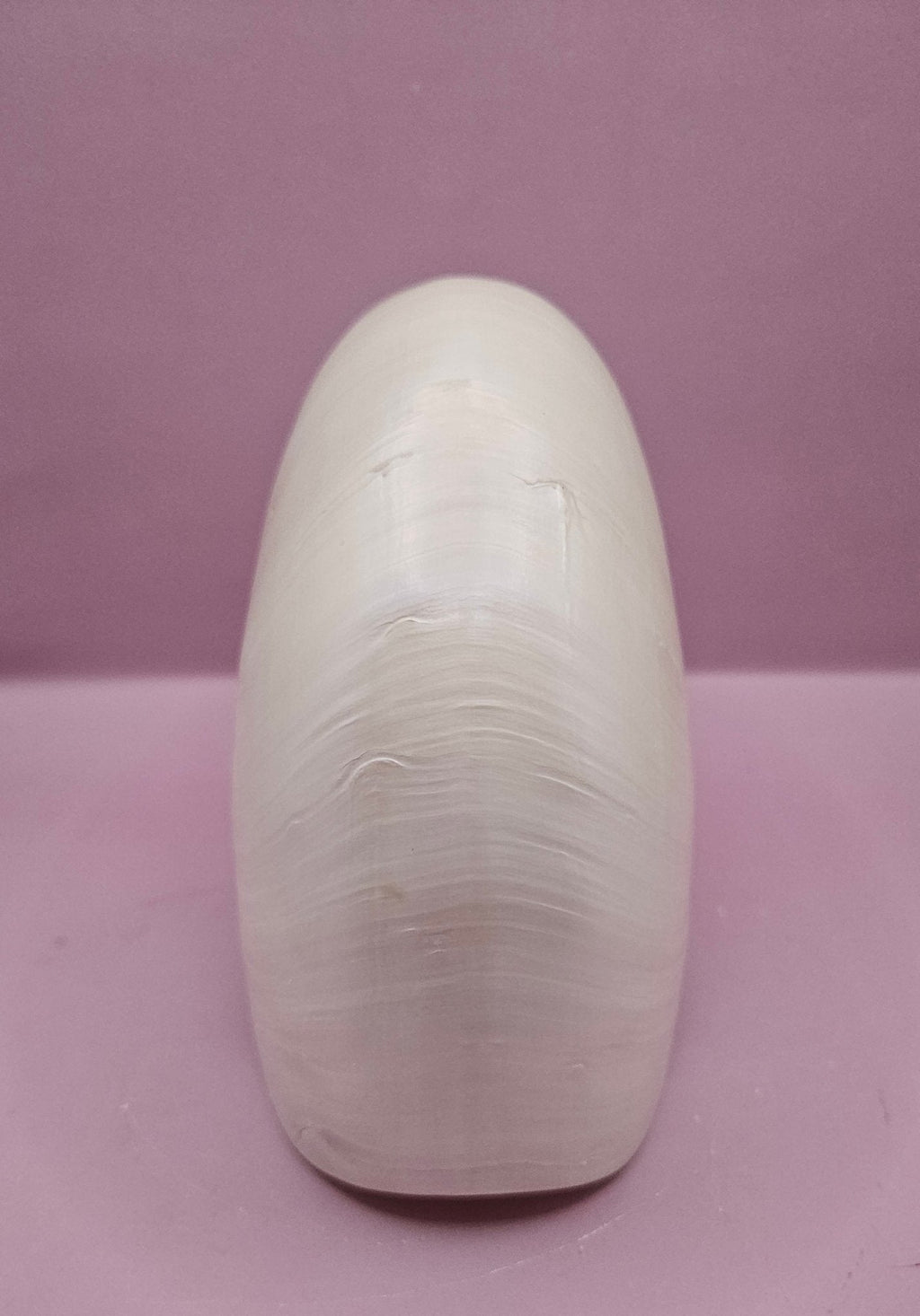 Tiger Nautilus Shell – Striking Natural Ocean Decor (7.25")