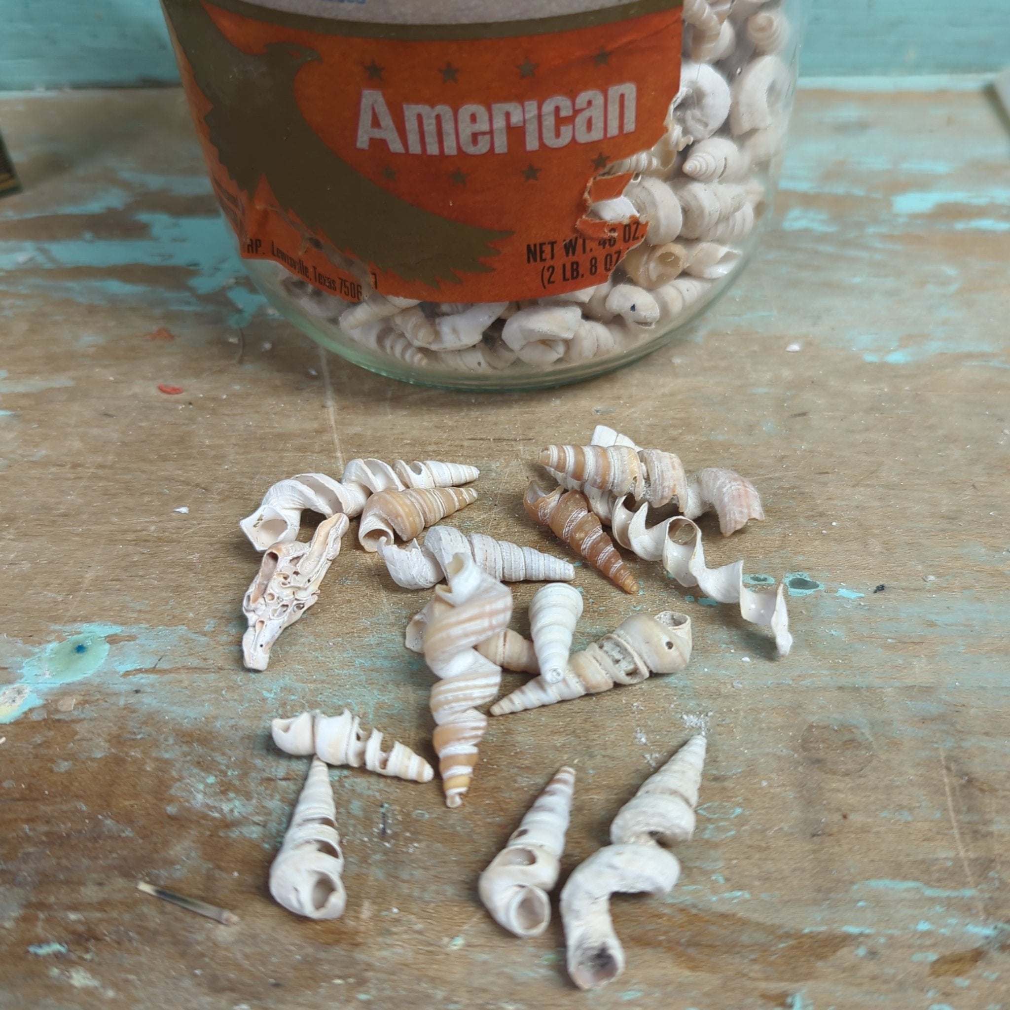Tube worm shells