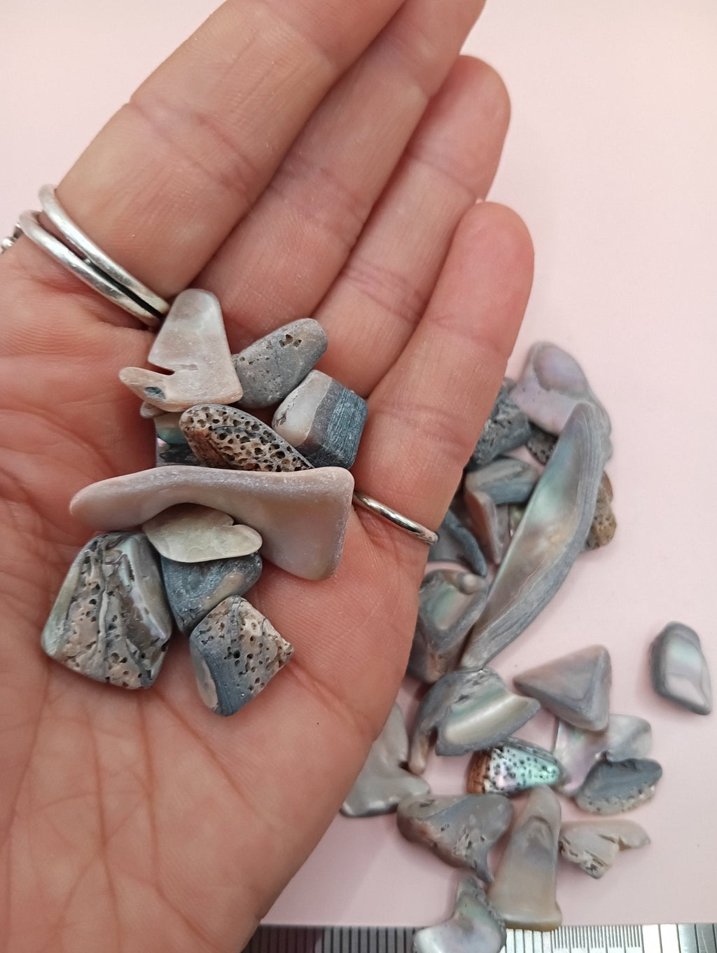 Tumbled Abalone Shell Pieces – Polished Natural Shell Chips for Crafts, Decor & Jewelry (Small)