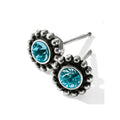 Puces d'oreilles mini Twinkle en zircon